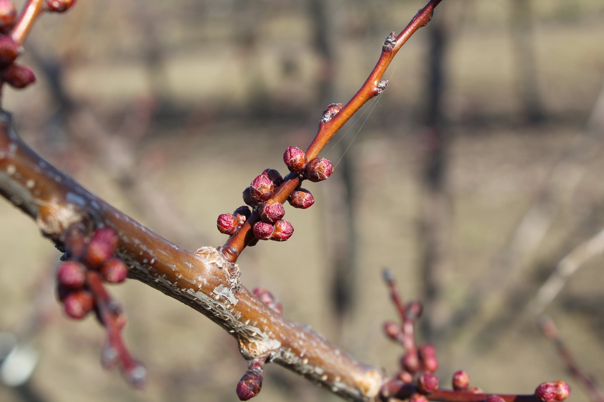 473814058_922500040090845_2638574784496739113_n