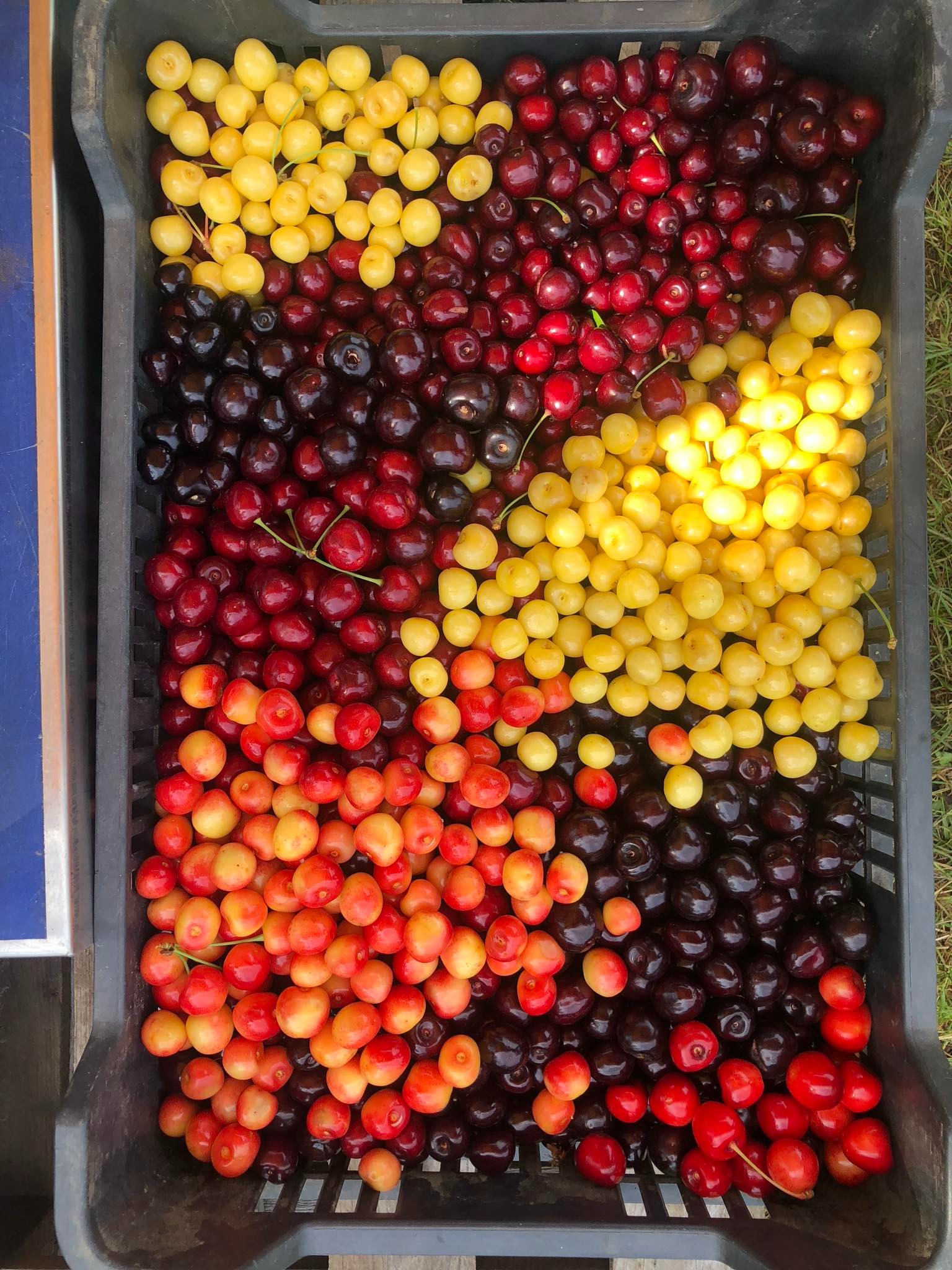 484870246_962536922753823_2045159097316879110_n