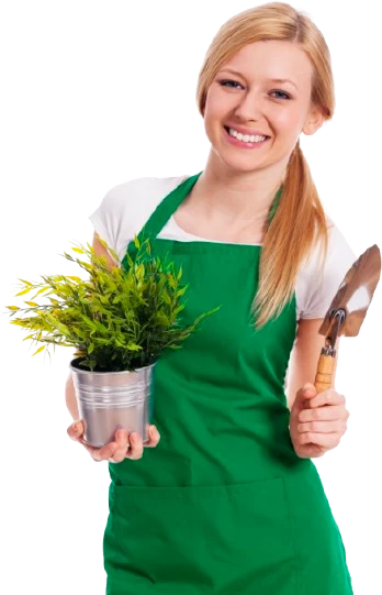 elvirakert_kertesz_lany_v2