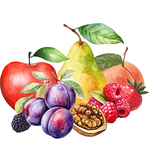 elvira_ikon_gyumolcs_rendeles_v1