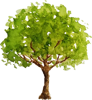 elvira_ikon_gyumolcsoltvany_rendeles_v1